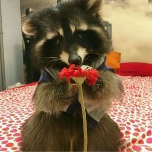 Meet your Posher, Wendy